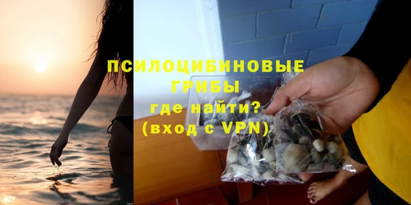 стаф Баксан