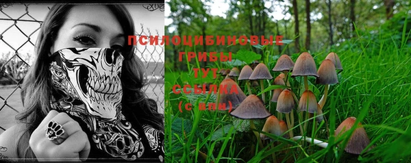 стаф Баксан