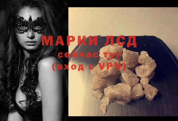 стаф Баксан